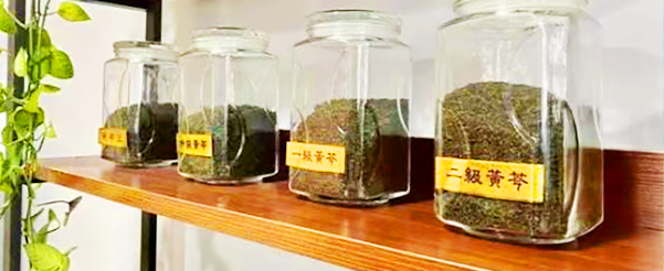 黄芩茶