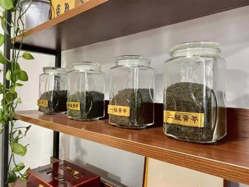 养气莫如黄芩茶